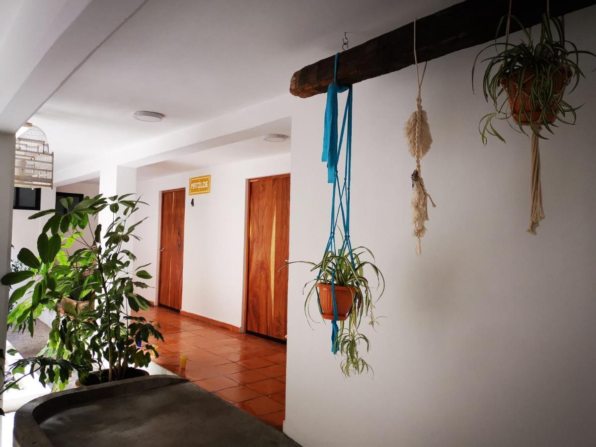 Santa Josefita B&B Cholula Kültér fotó